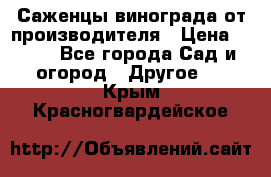 Саженцы винограда от производителя › Цена ­ 800 - Все города Сад и огород » Другое   . Крым,Красногвардейское